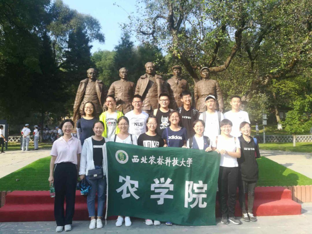 张佳宁《小城故事多》和杨紫《要久久爱》